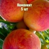 Комплект 5шт / Персик Клокред: фото и описание